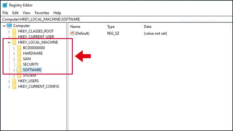 Tìm thư mục con SOFTWARE trong hộp thoại Registry Editor